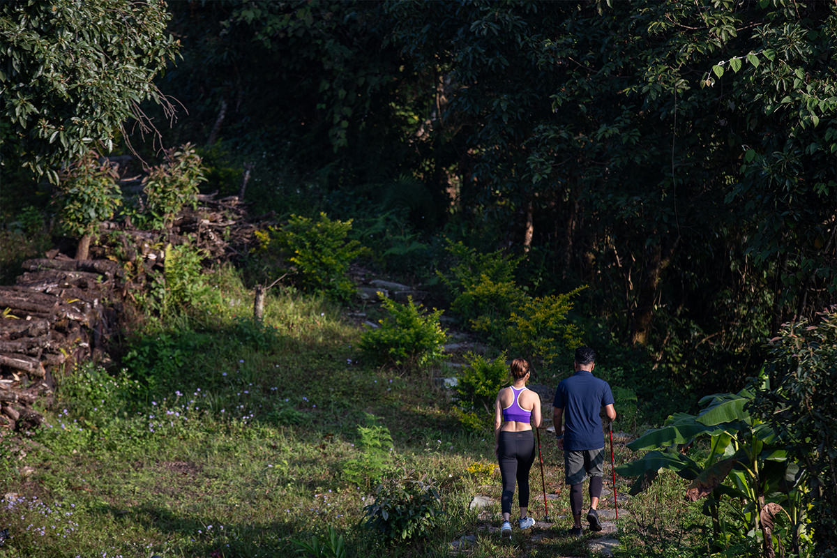 Himalayan Wellness Journey