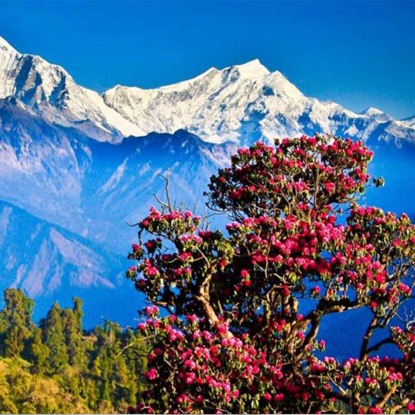 Exciting Nepal | For Nature, Culture, and Experience