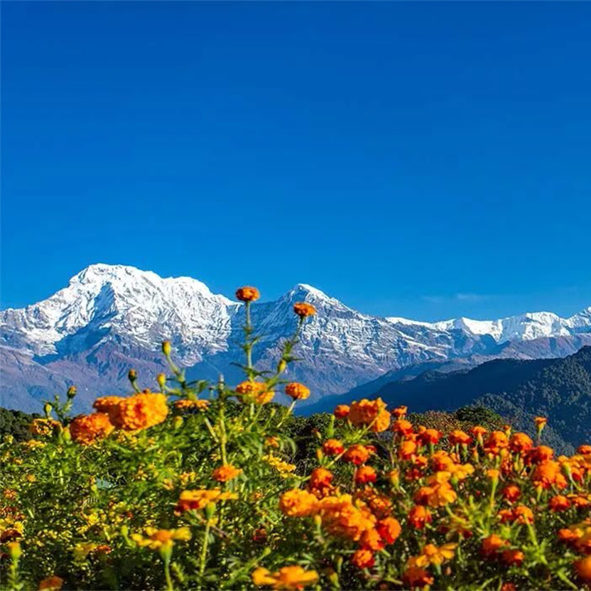 Nepal is Open and Safe to Travel 